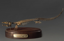 Модель скелета мозазавра Mosasaurus - «globural.ru» - Краснотурьинск