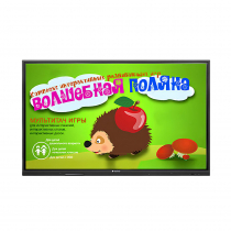 Интерактивная сенсорная панель 50" (UHD 4K) - «globural.ru» - Краснотурьинск
