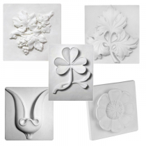 Комплект гипсовых моделей растений  - «globural.ru» - Краснотурьинск