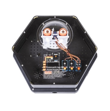 Модуль интерактивный с искусственным интеллектом "Наблюдатель" - «globural.ru» - Краснотурьинск