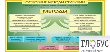 Стенд "Методы селекции и биотехнологии" - «globural.ru» - Краснотурьинск
