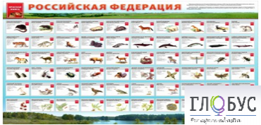 Стенд "Красная книга РФ" - «globural.ru» - Краснотурьинск
