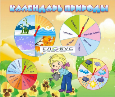 Стенд "Календарь природы" (вариант 1) - «globural.ru» - Краснотурьинск