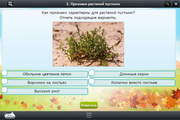 Интерактивные курсы. Окружающий мир 3 класс. Базовый - «globural.ru» - Краснотурьинск