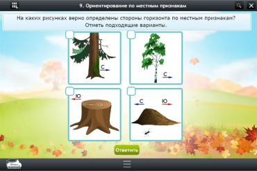 Интерактивные курсы. Окружающий мир 1 класс. Базовый - «globural.ru» - Краснотурьинск