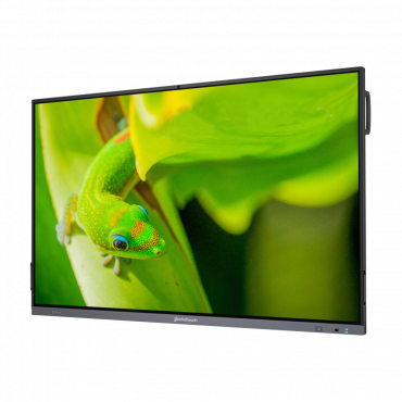 Интерактивный программно-аппаратный комплекс Geckotouch Interactive IP86GT-С  в комплекте с настенным креплением - «globural.ru» - Краснотурьинск