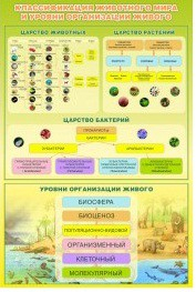 Стенд "Классификация животного мира" - «globural.ru» - Краснотурьинск